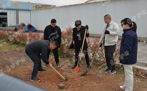 植樹活動(dòng) | 綠水青山就是金山銀山，東方爐襯組織員工義務(wù)植樹